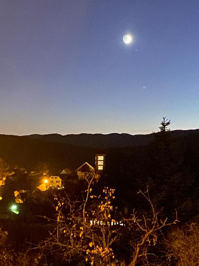 Le Moonloft Insolite Tiny-House Dans Les Arbres & 1 Seance De Sauna Pour 2 Avec Vue Panoramique Osenbach Dış mekan fotoğraf