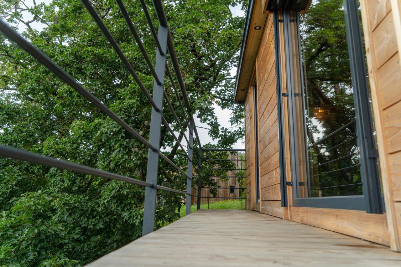 Le Moonloft Insolite Tiny-House Dans Les Arbres & 1 Seance De Sauna Pour 2 Avec Vue Panoramique Osenbach Dış mekan fotoğraf