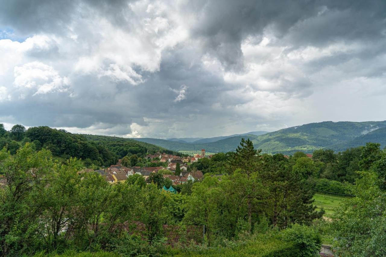 Le Moonloft Insolite Tiny-House Dans Les Arbres & 1 Seance De Sauna Pour 2 Avec Vue Panoramique Osenbach Dış mekan fotoğraf