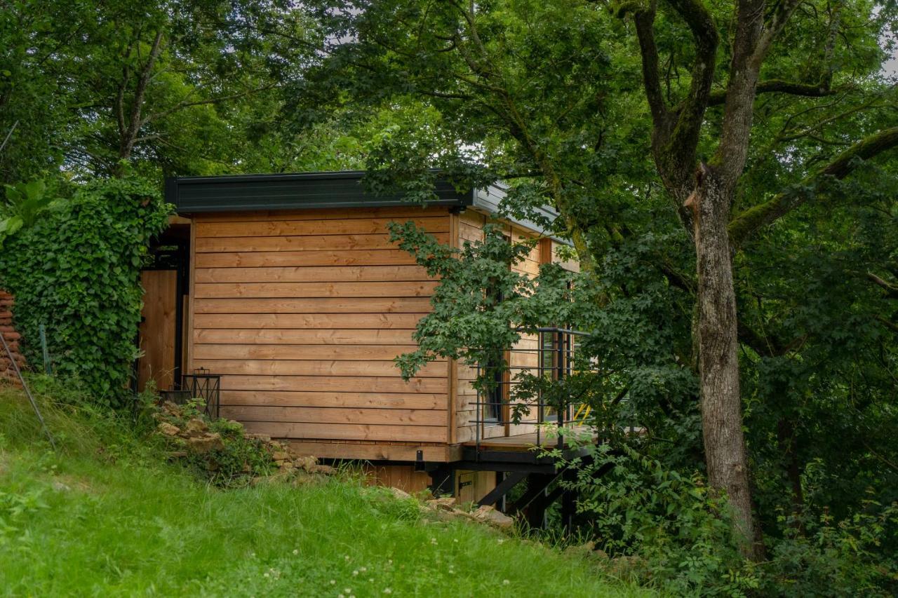 Le Moonloft Insolite Tiny-House Dans Les Arbres & 1 Seance De Sauna Pour 2 Avec Vue Panoramique Osenbach Dış mekan fotoğraf