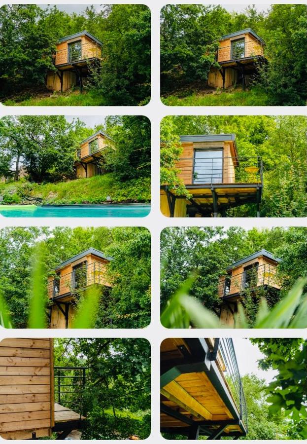 Le Moonloft Insolite Tiny-House Dans Les Arbres & 1 Seance De Sauna Pour 2 Avec Vue Panoramique Osenbach Dış mekan fotoğraf
